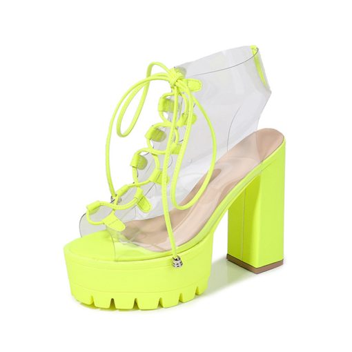 Women Transparent Lace-Up Chunky Heel Sandals